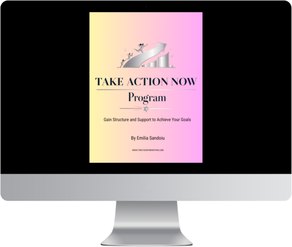 Take Action Now Program